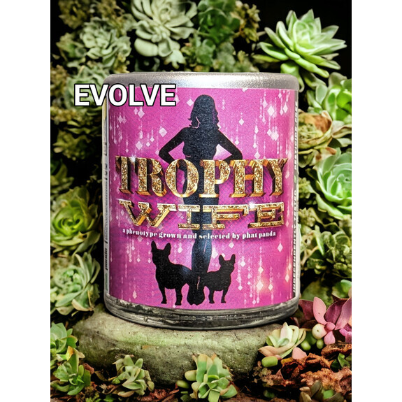Photograph of product: Trophy Wife - 3.5g