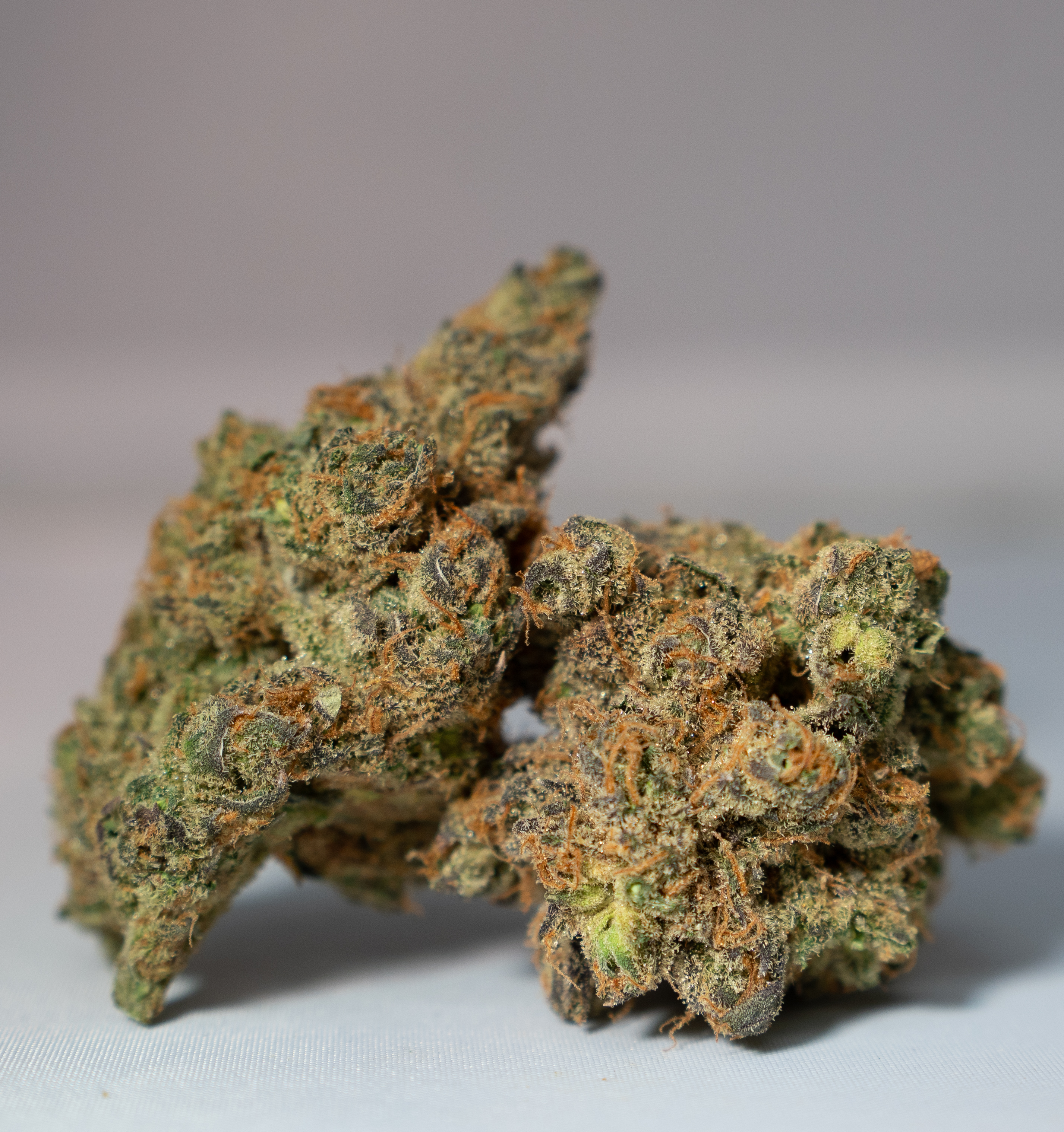 Photograph of product: TANGIEBERTO (S) 3.5G