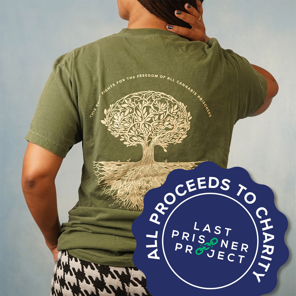 Photograph of product: LPP T-Shirt 25' - Green - (XL)