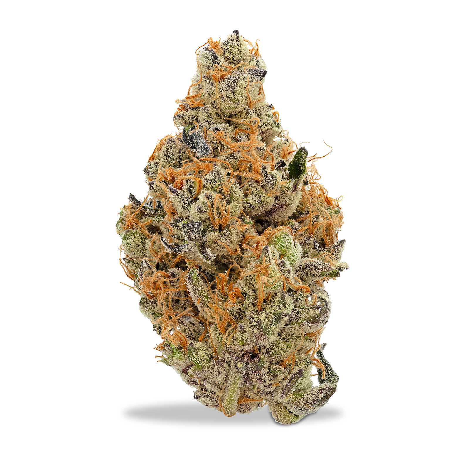 Photograph of product: Herbal Dynamics - Bank Roll - 28g