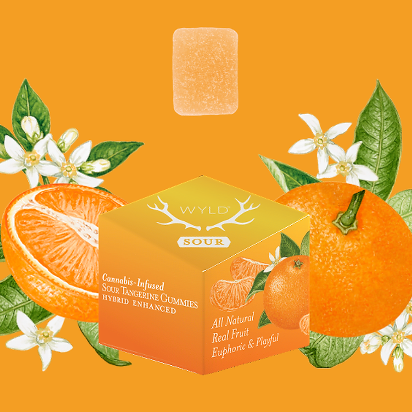 Photograph of product: Sour Tangerine Gummies 10Pk - Hybrid
