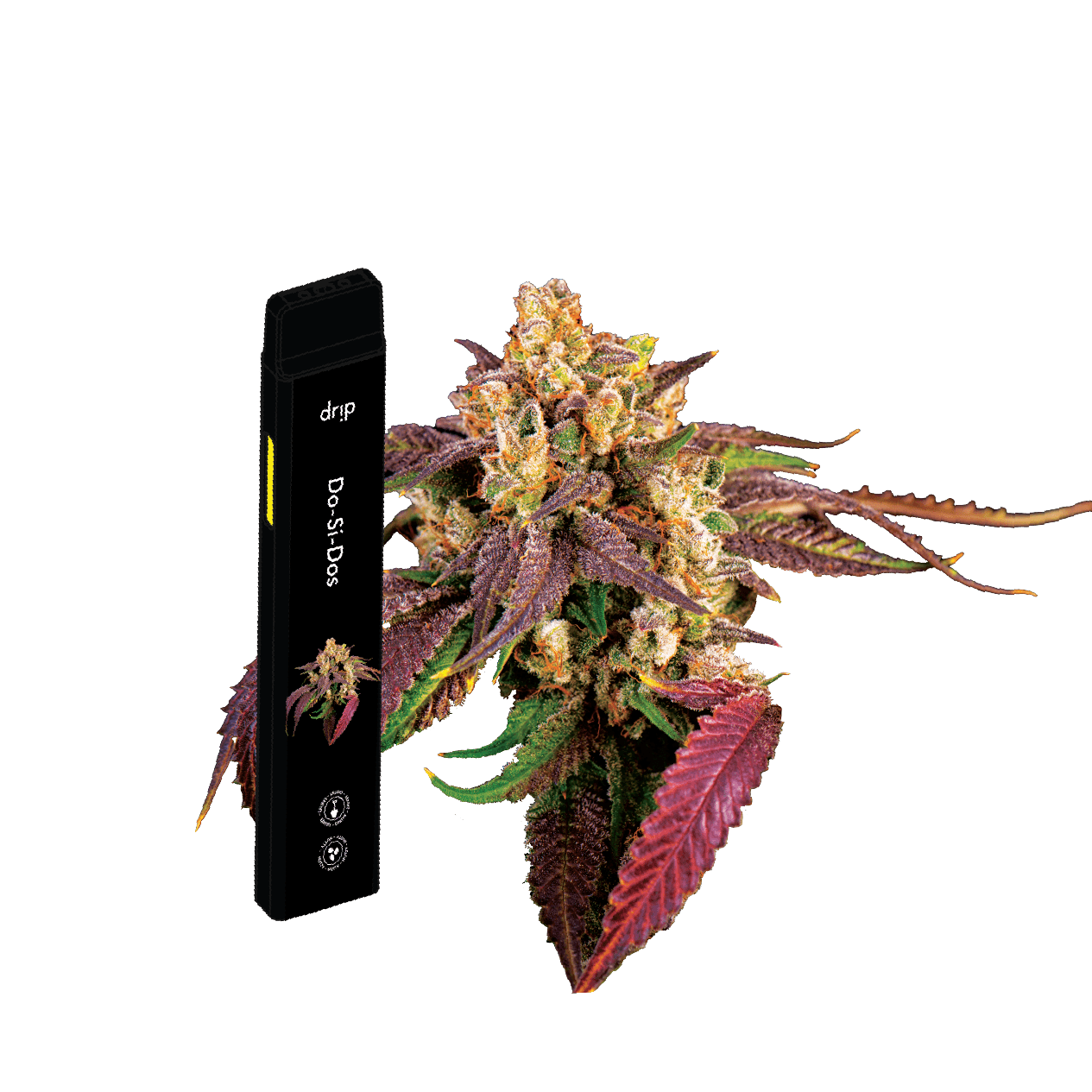 Photograph of product: Drip All In One Vape: Do-Si-Dos (I)
