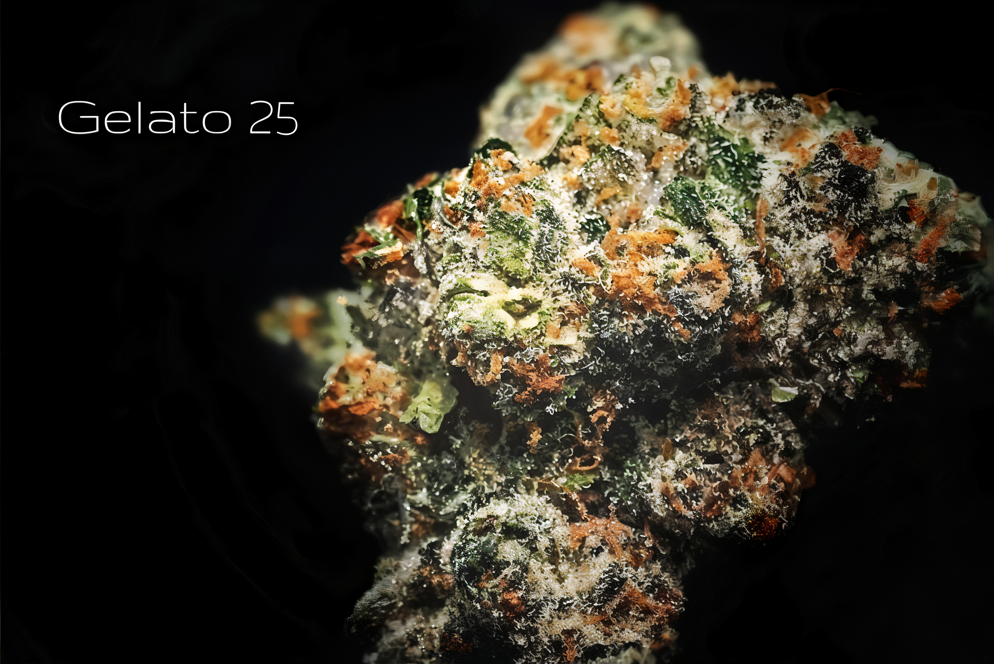Photograph of product: Gelato Popcorn - 28g