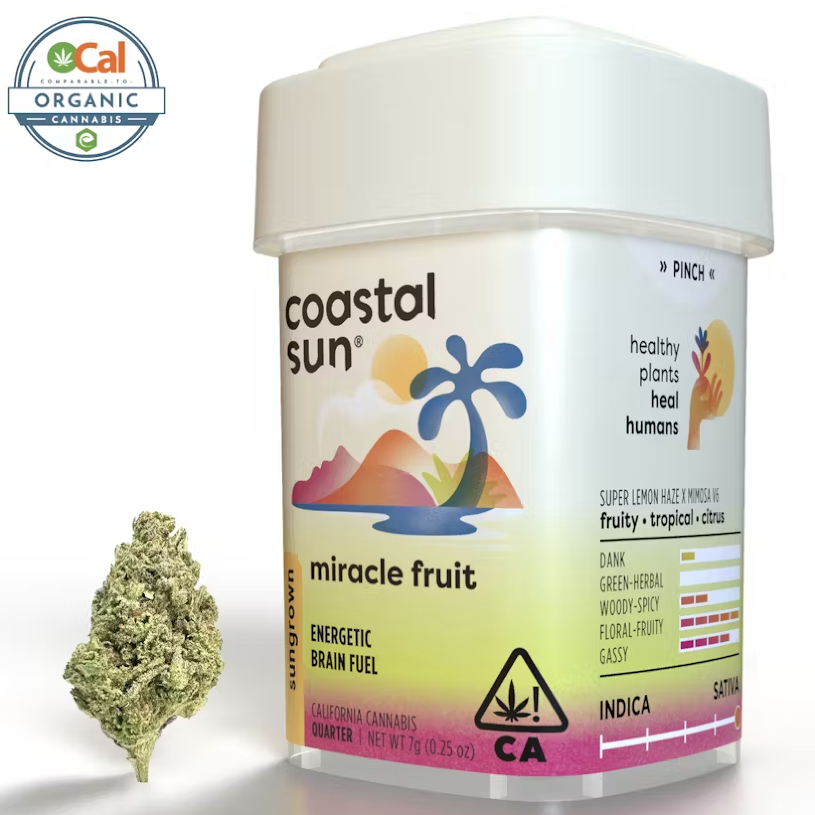 Photograph of product: Coastal Sun Sungrown 7g Quarter - Miracle Fruit (S)