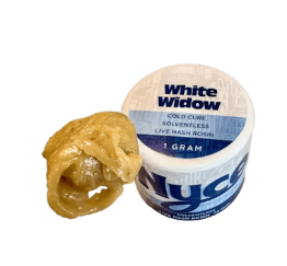 Photograph of product: Nyce | White Widow | Solventless Live au chocolat Rosin | 1g