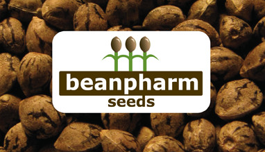 Photograph of product: BeanPharm- Lemon Dream Seed