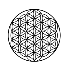 Photograph of product: Flower of Life - Bulk Flower - Peach Ringz - 28g