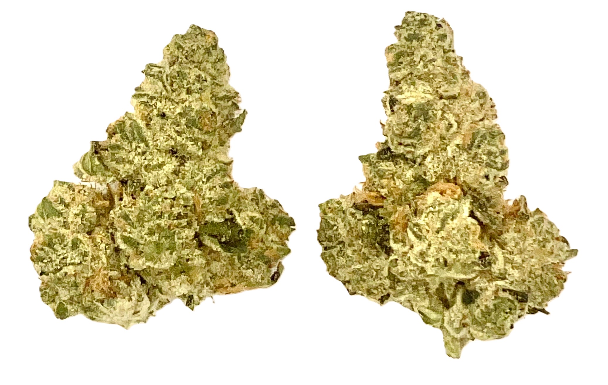 Photograph of product: Buds | Duct Tape - 28g
