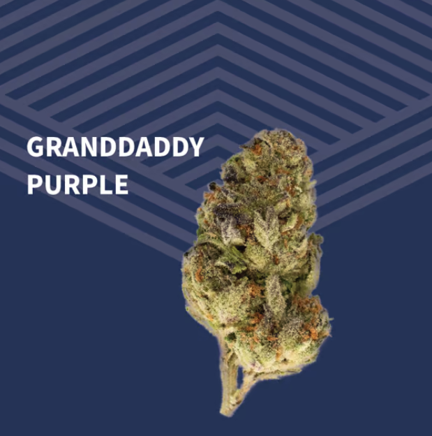 Photograph of product: Granddaddy Purple Flower - 7g