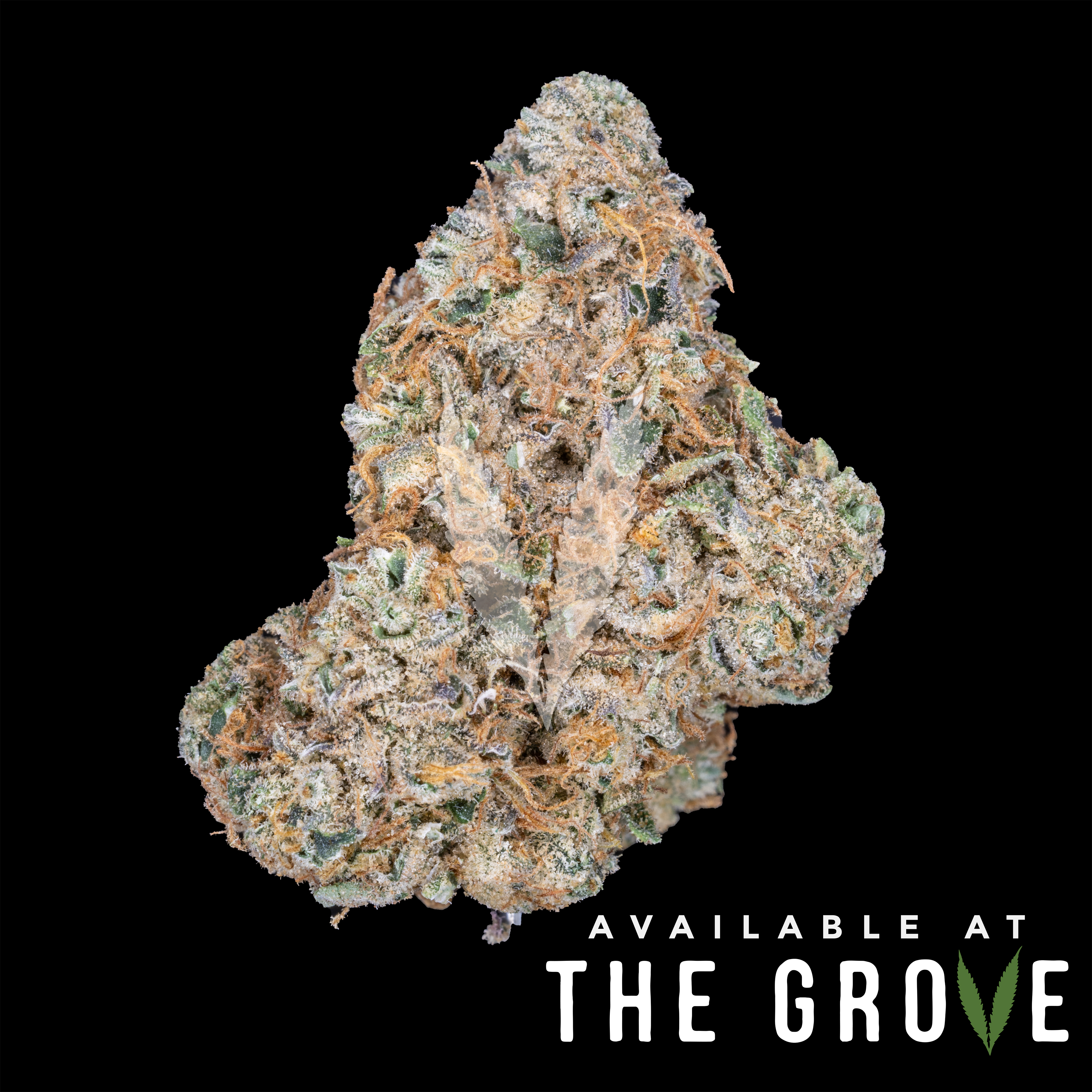 Photograph of Product: Pearl Pharma | Jack2 1/8ths - 3.5g
