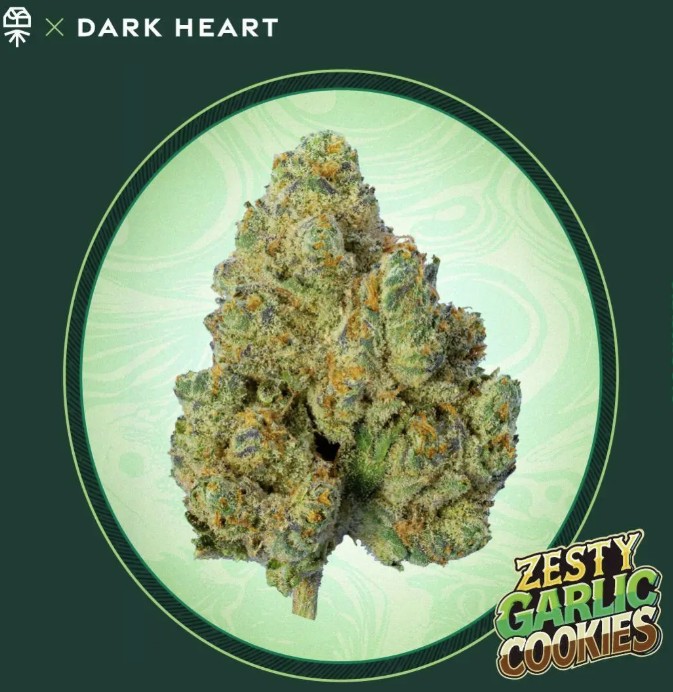 Photograph of product: Flower | Dark Heart Collection | Zesty Garlic Kookyz | 00965 - 3.5g