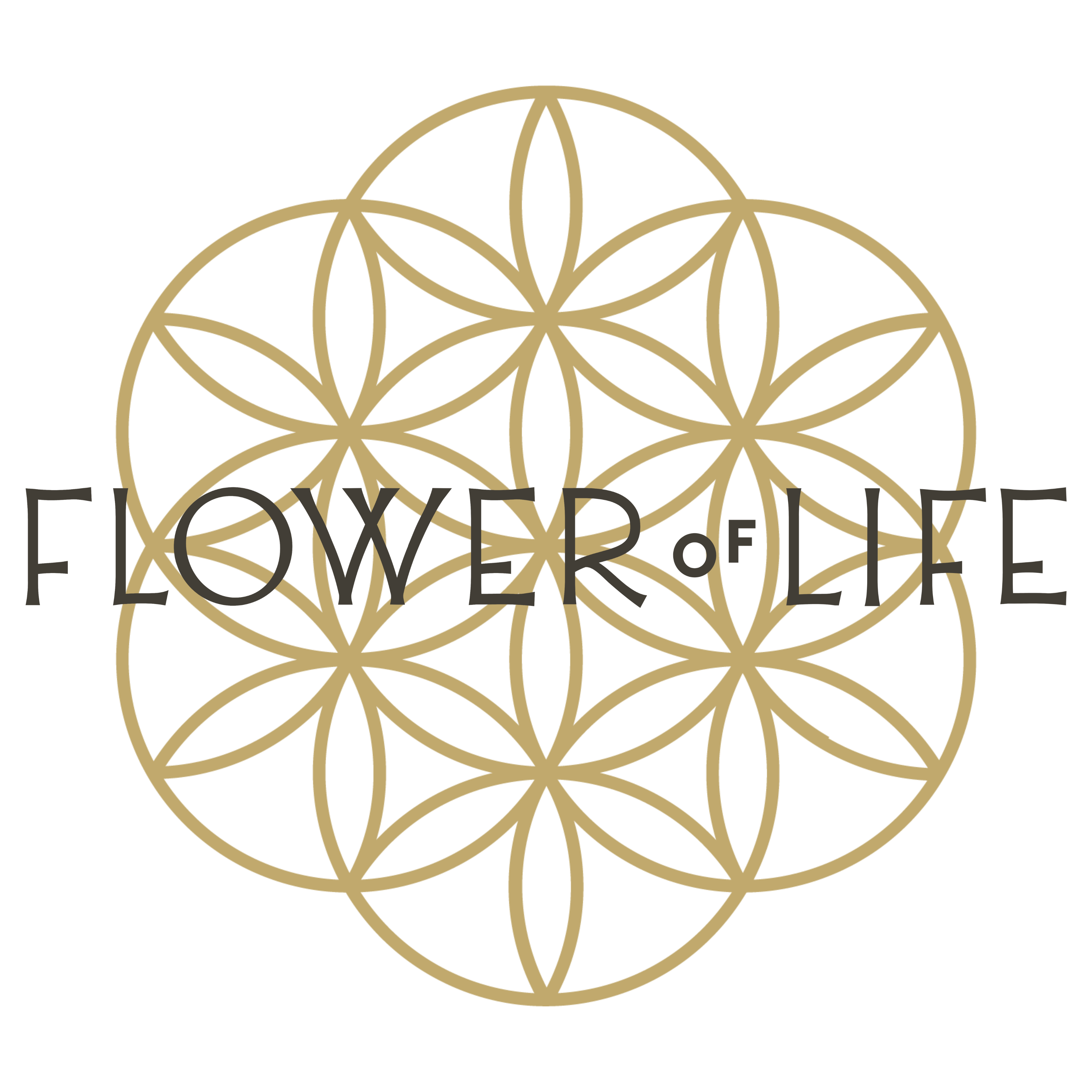 Photograph of product: Apollo Organics | Jokerz Wild | BULK - 1g