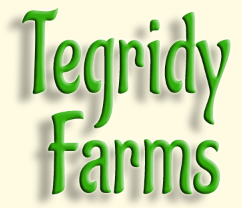 Photograph of product: TEG PURPLE DOSES - 1g