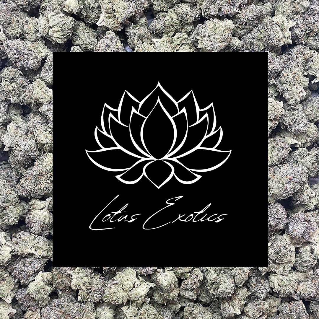 Photograph of product: Lotus Exotics Special: Mint Tao - 3.5g