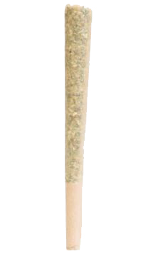 Photograph of product: Jenny Kush Pre-Roll 1g