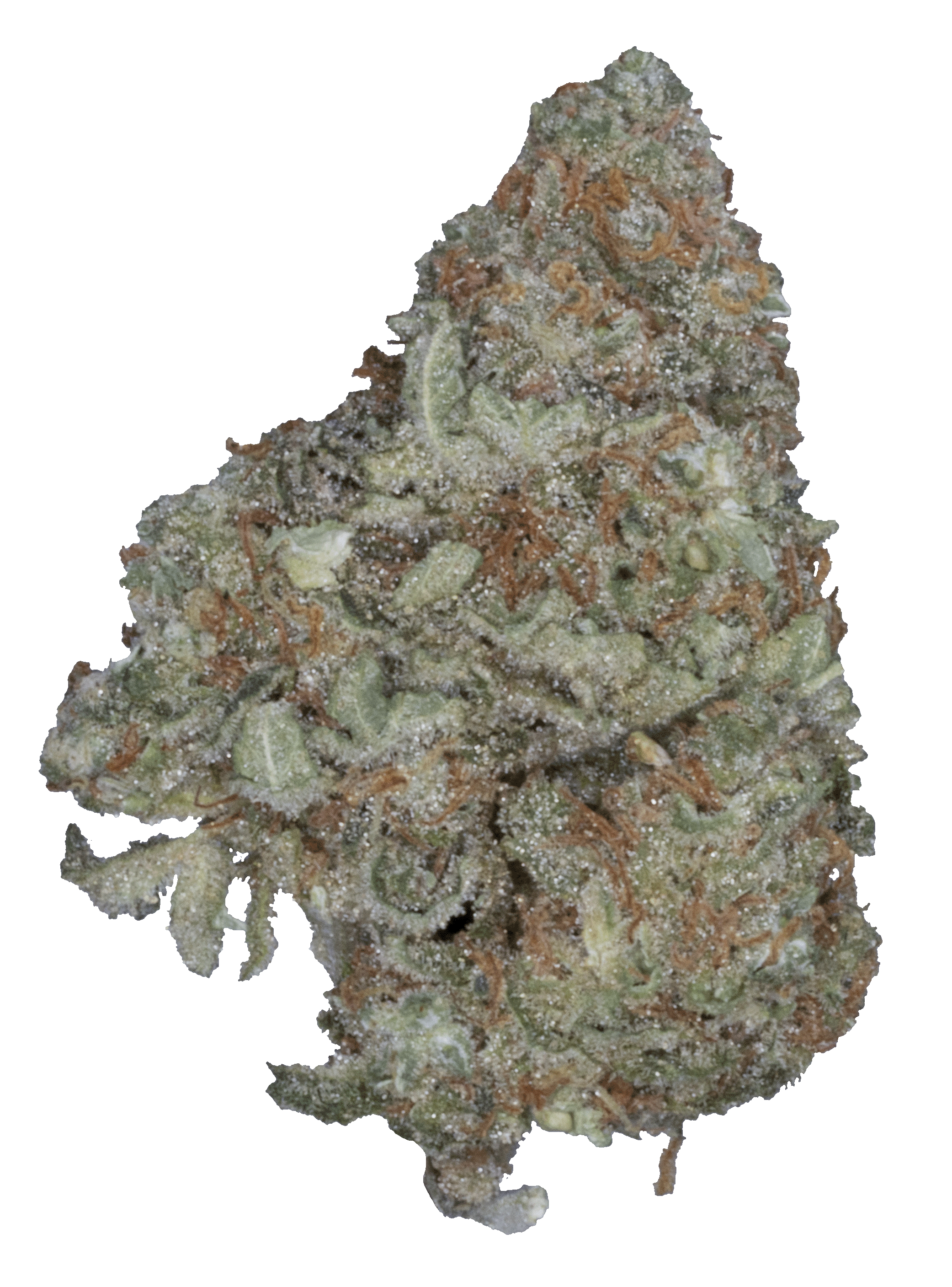 Photograph of product: Golden Goat - 3.5g