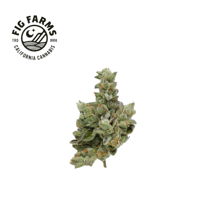 Photograph of product: ANIMAL FACE 3.5G INDOOR