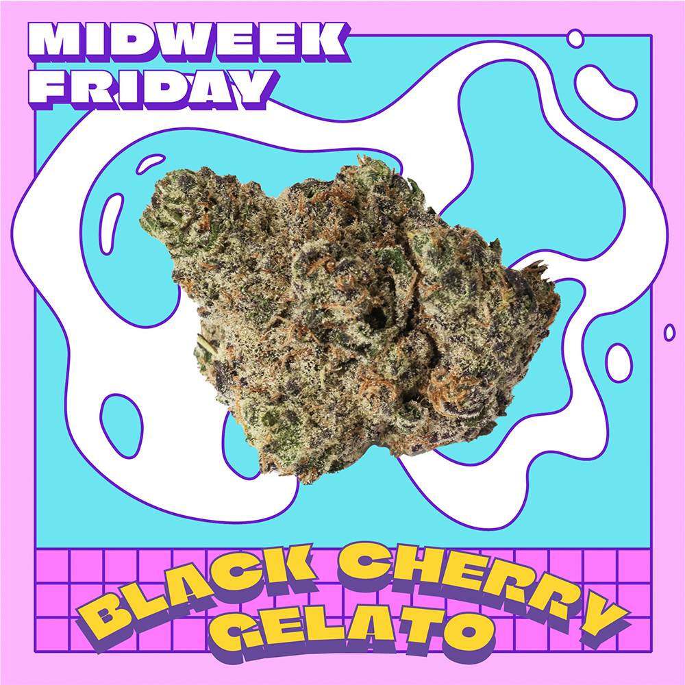 Photograph of product: Black Cherry Gelato | Pre-Pack Shake - 7g