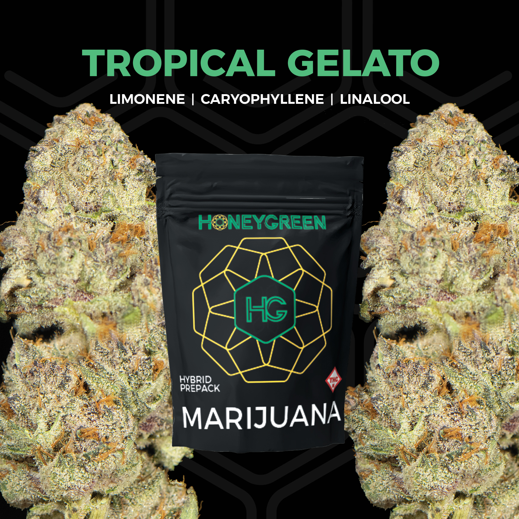 Photograph of product: Tropical Gelato - 3.5g
