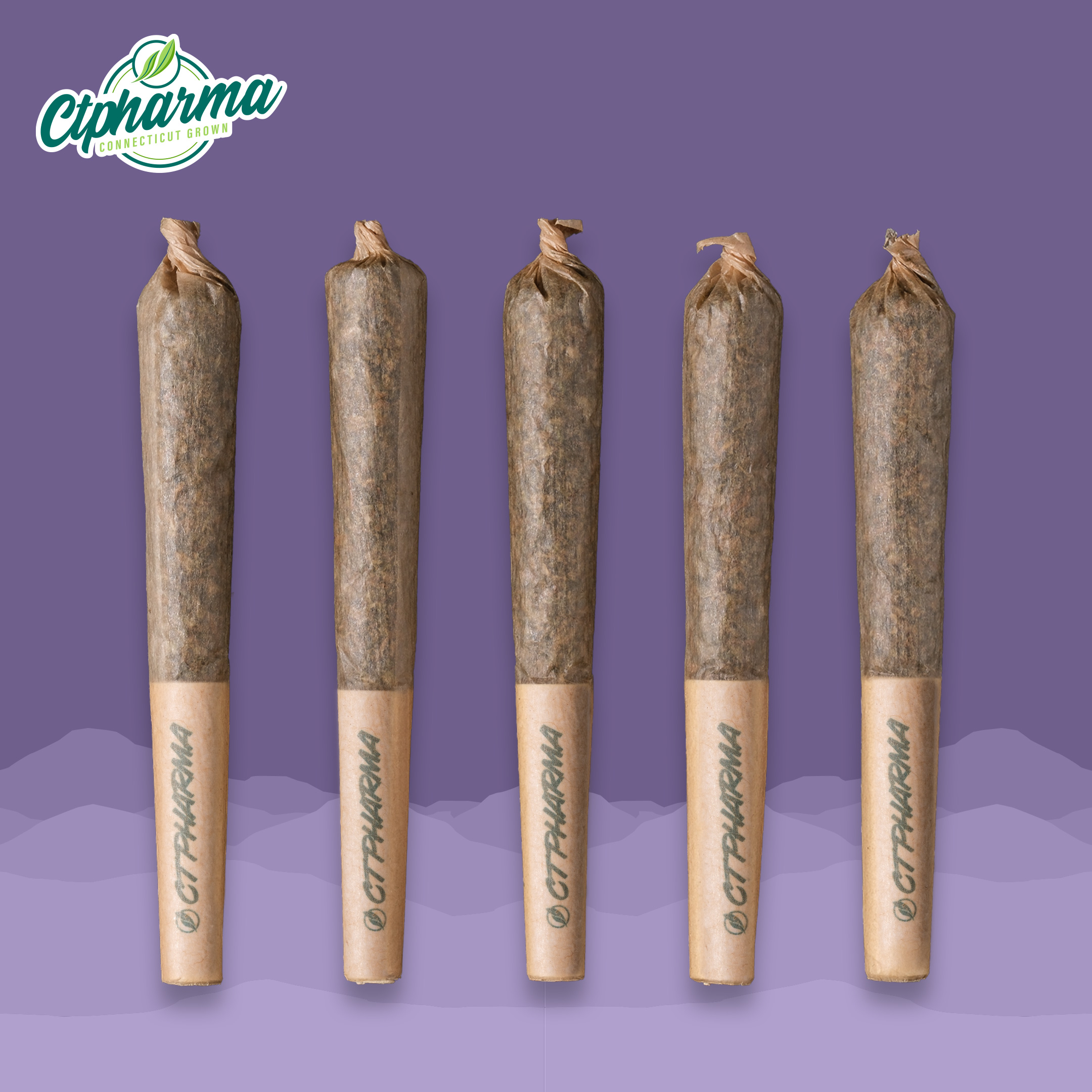 Photograph of product: GMO Skunk Shorties T23.75 (25949)