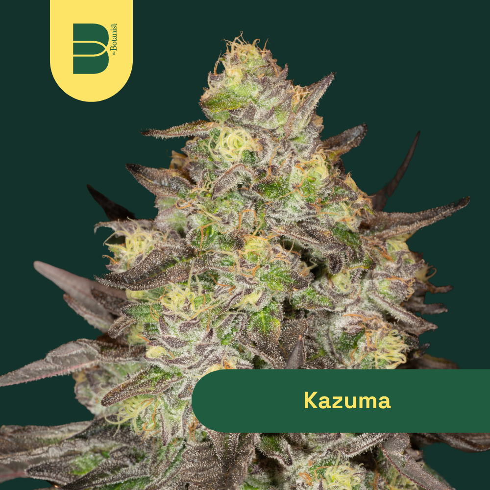 Photograph of product: Kazuma - 3.5g