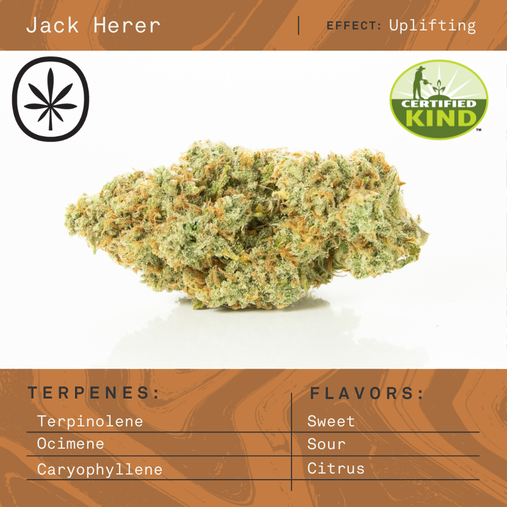 Photograph of product: Apothecare | Jack Herer | Bulk Flower - 28g