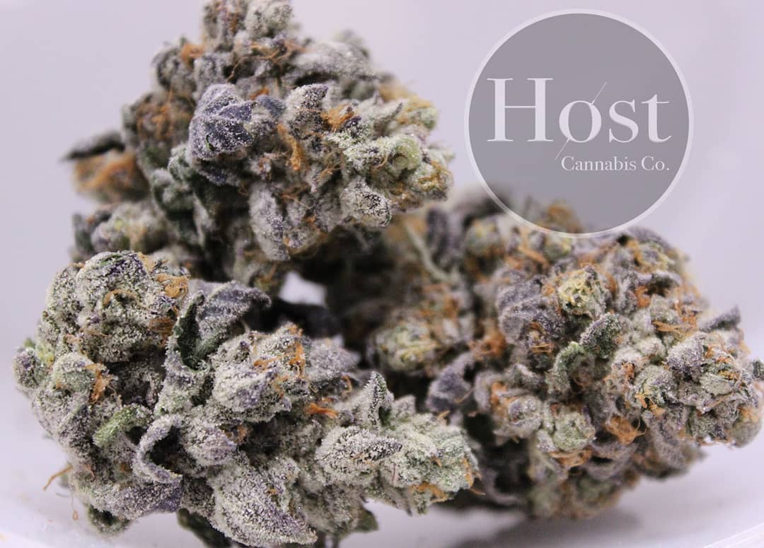 Photograph of Product: Host - Peach Ringz - Bulk Buds - 3.5g