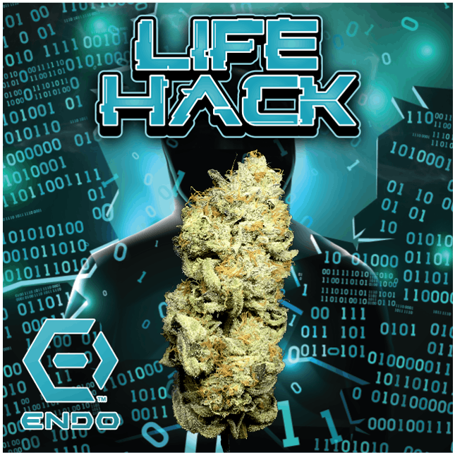 Photograph of product: Life Hack - 3.5g