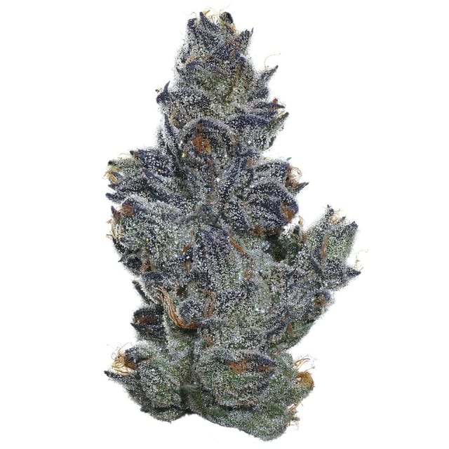 Photograph of product: Sour Cherry Pie | 3.5g Flower