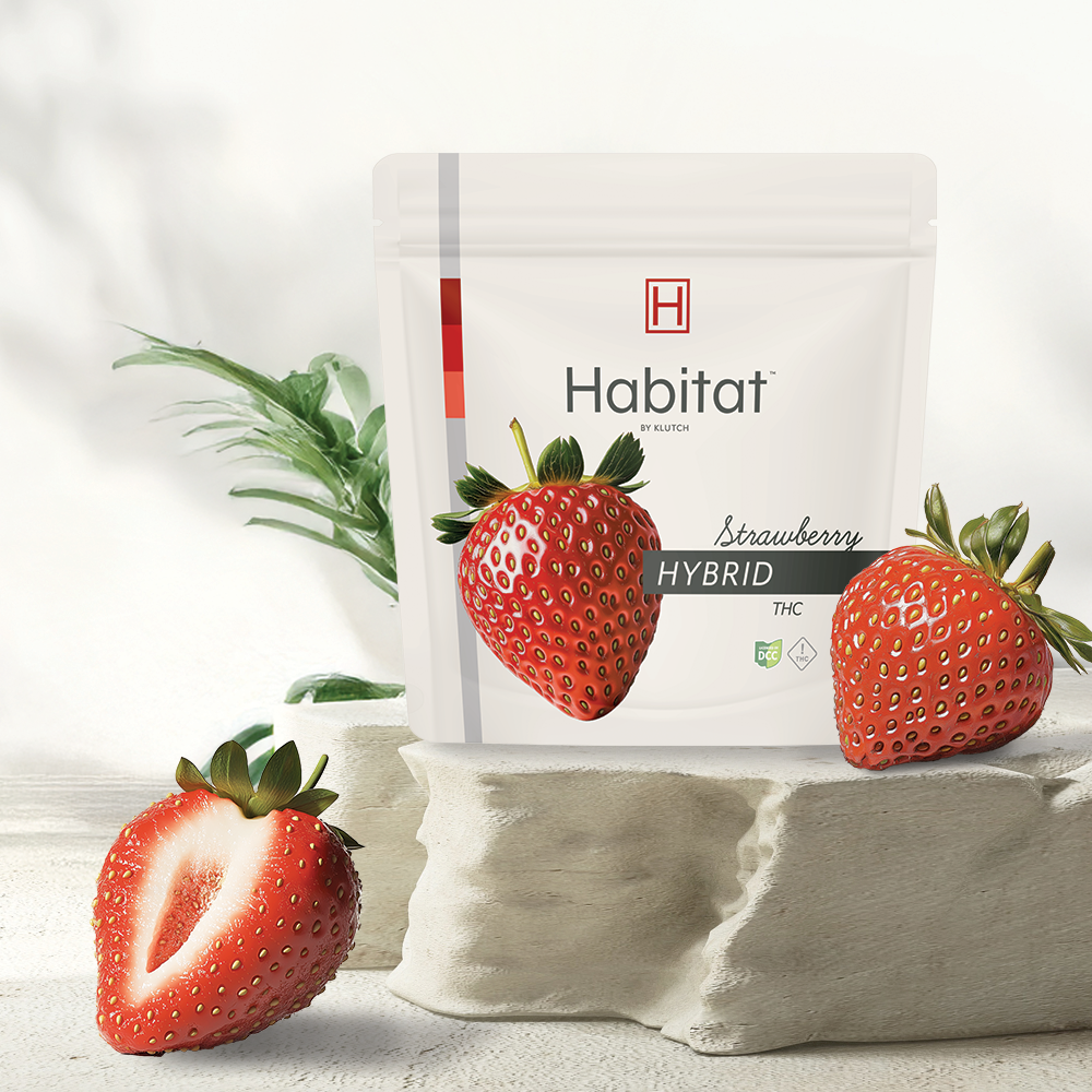 Photograph of product: | Strawberry Hybrid Gummies |