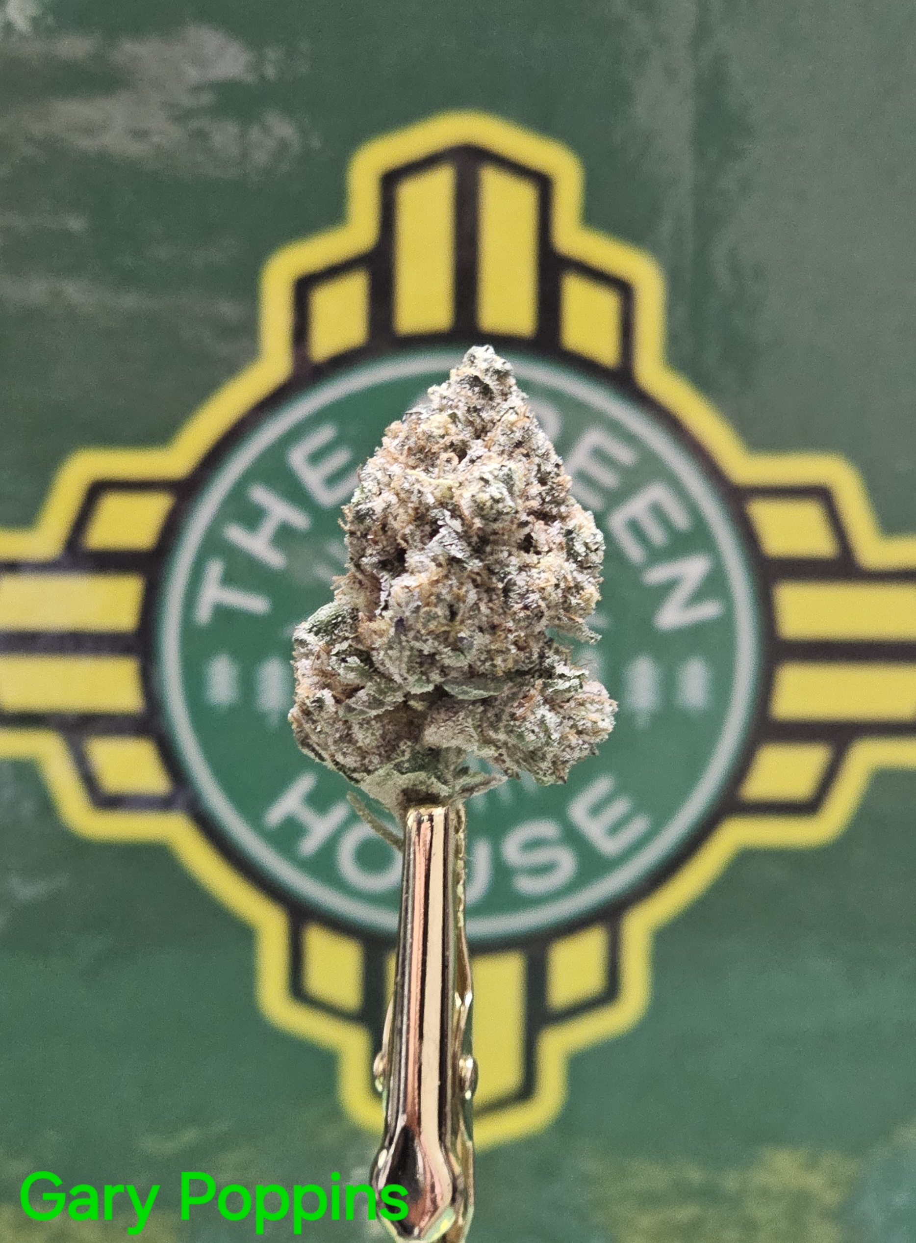 Photograph of product: Gary Poppins - (H) - 14g