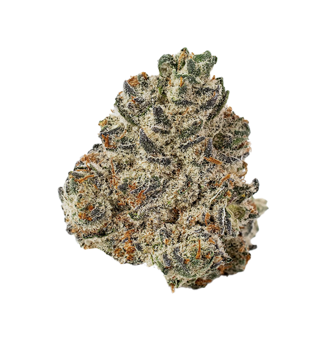 Photograph of product: MPX Select Oroz Flower - 3.5g