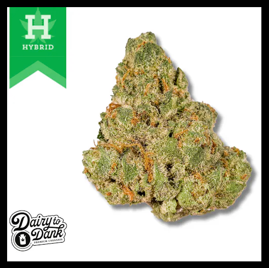 Photograph of product: Dairy 2 Dank - Gello Pre-Pack (H) - 3.5g