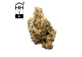 Photograph of product: HARBOR HOUSE | GARLIC ICE CREAM (I/H) - 3.5g