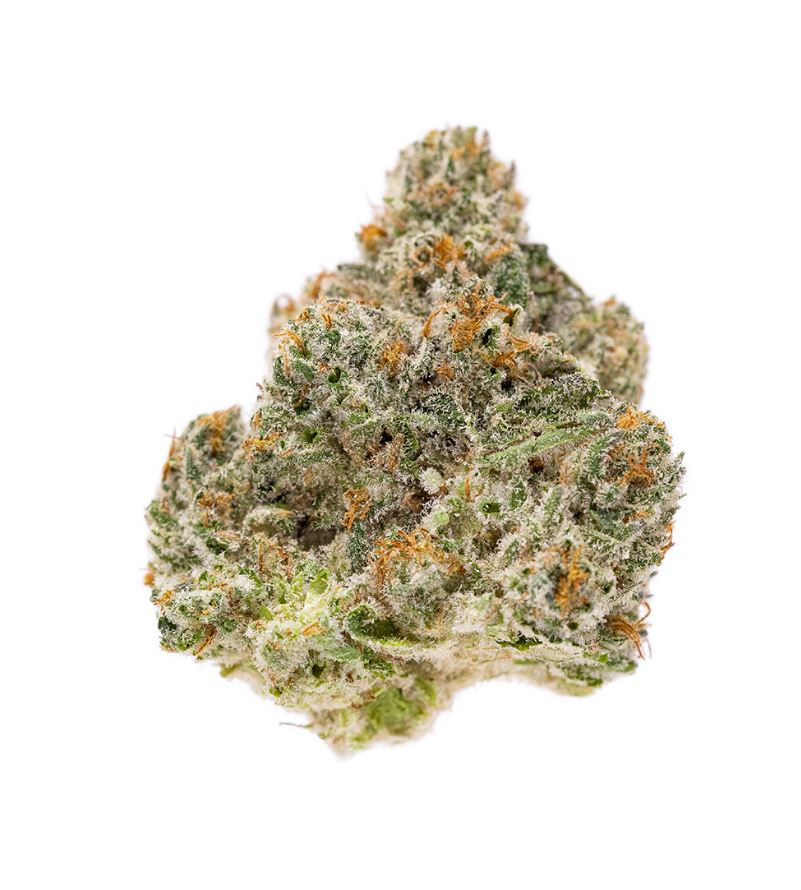 Photograph of product: Snowball Flower | 3.5g