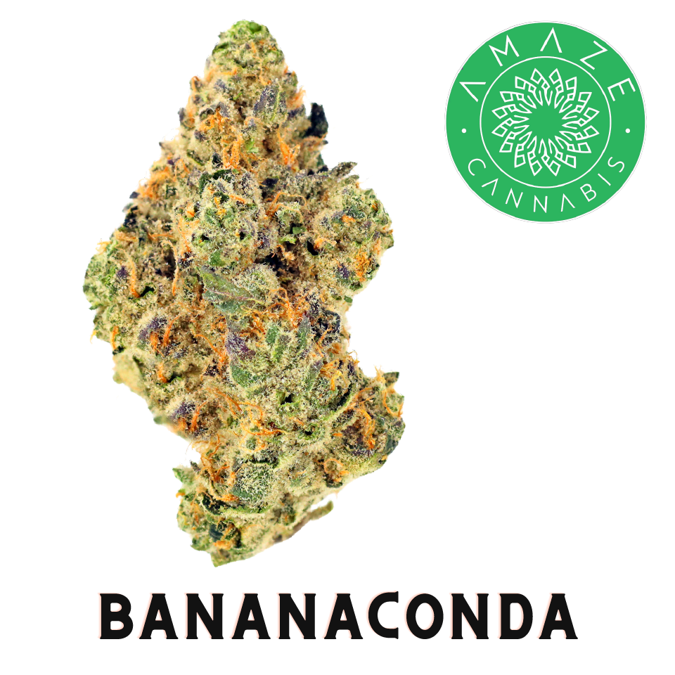 Photograph of product: Bananaconda Pre-pack | 3.5g