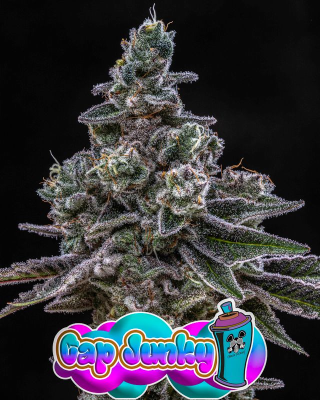 Photograph of product: Cap Junky - 28g
