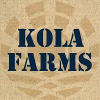 Photograph of product: Kola Farms Grandi Guava Live Resin Badder