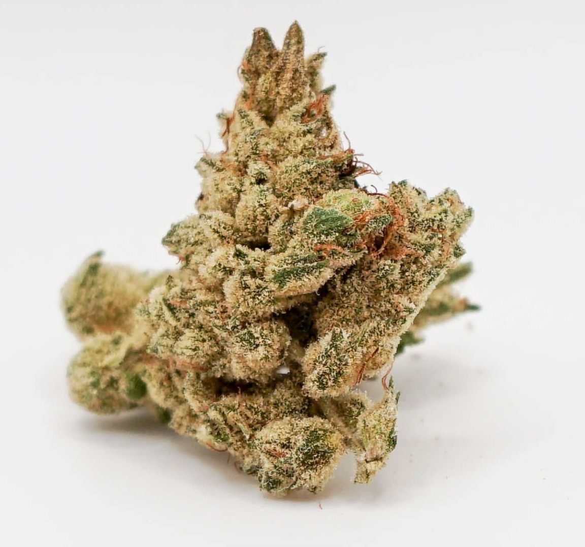 Photograph of product: GG4 - 1g