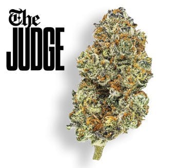 Photograph of product: Claybourne - The Judge - Gold Cuts (1/8) - 3.5 grams