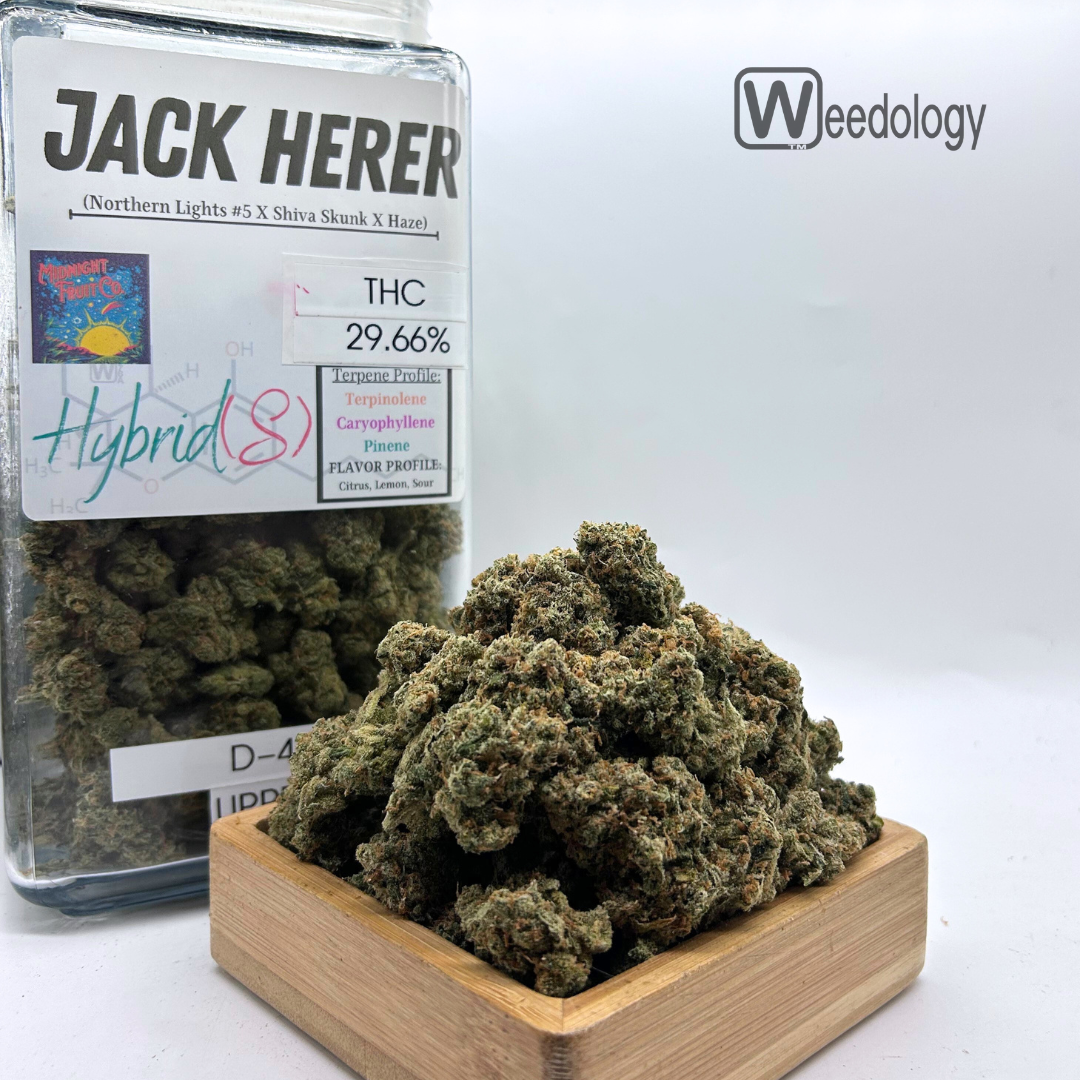 Photograph of product: Jack Herer (S-H) - 28g
