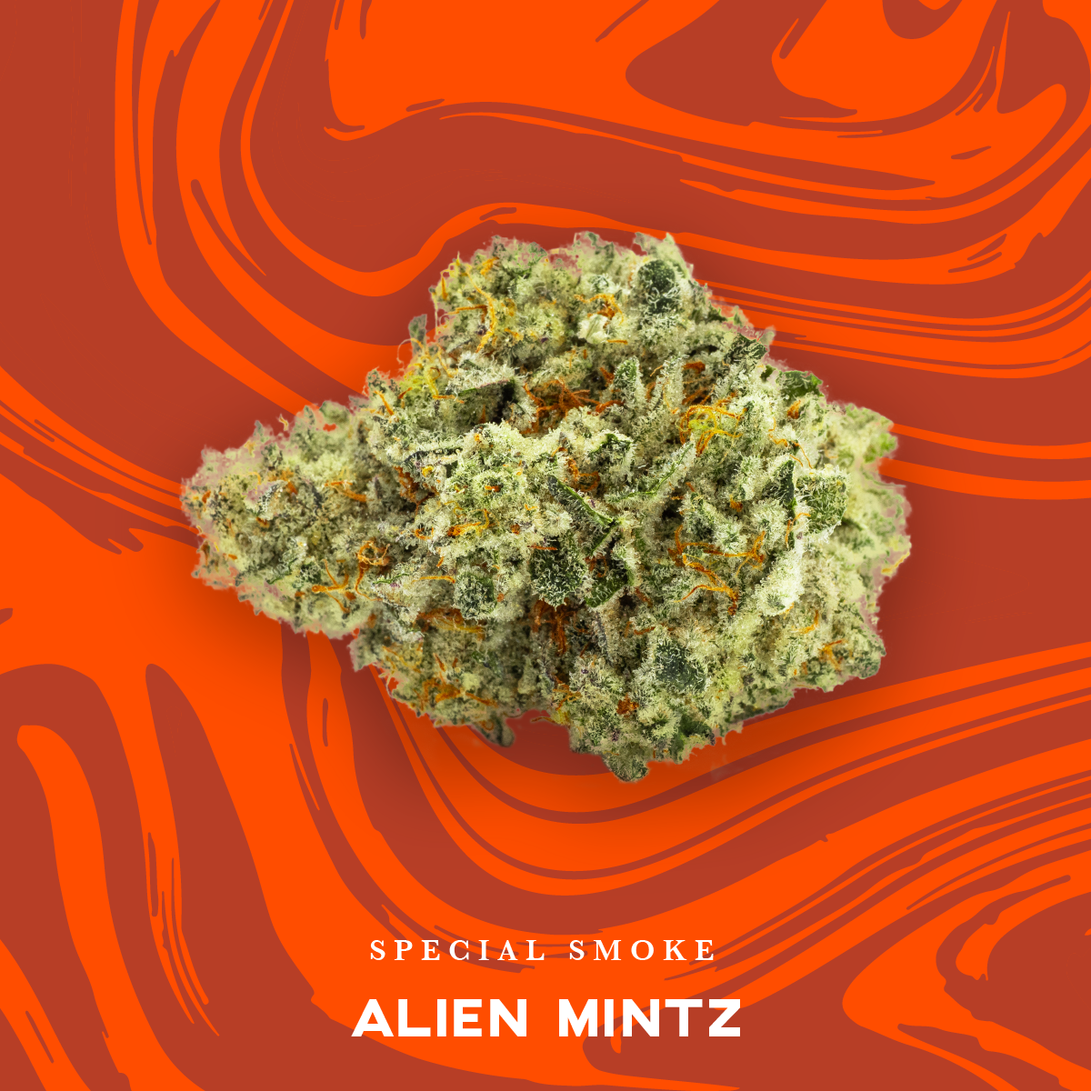 Photograph of product: Alien Mintz - Vivid - 3.5g Pre-Packaged