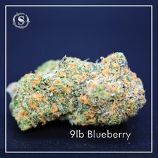 Photograph of product: 9lb Blueberry 3.5g