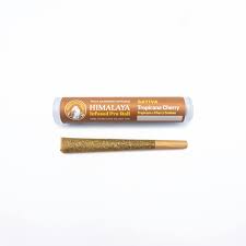 Photograph of product: TROPICANA CHRRY 1G INFUSED PRE ROLL