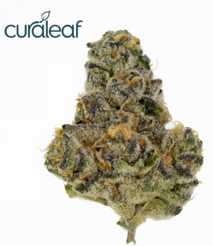 Photograph of product: Curaleaf Whole Flower Kush Mints (I) 00932 TC 34.023% (AU) - 3.5g