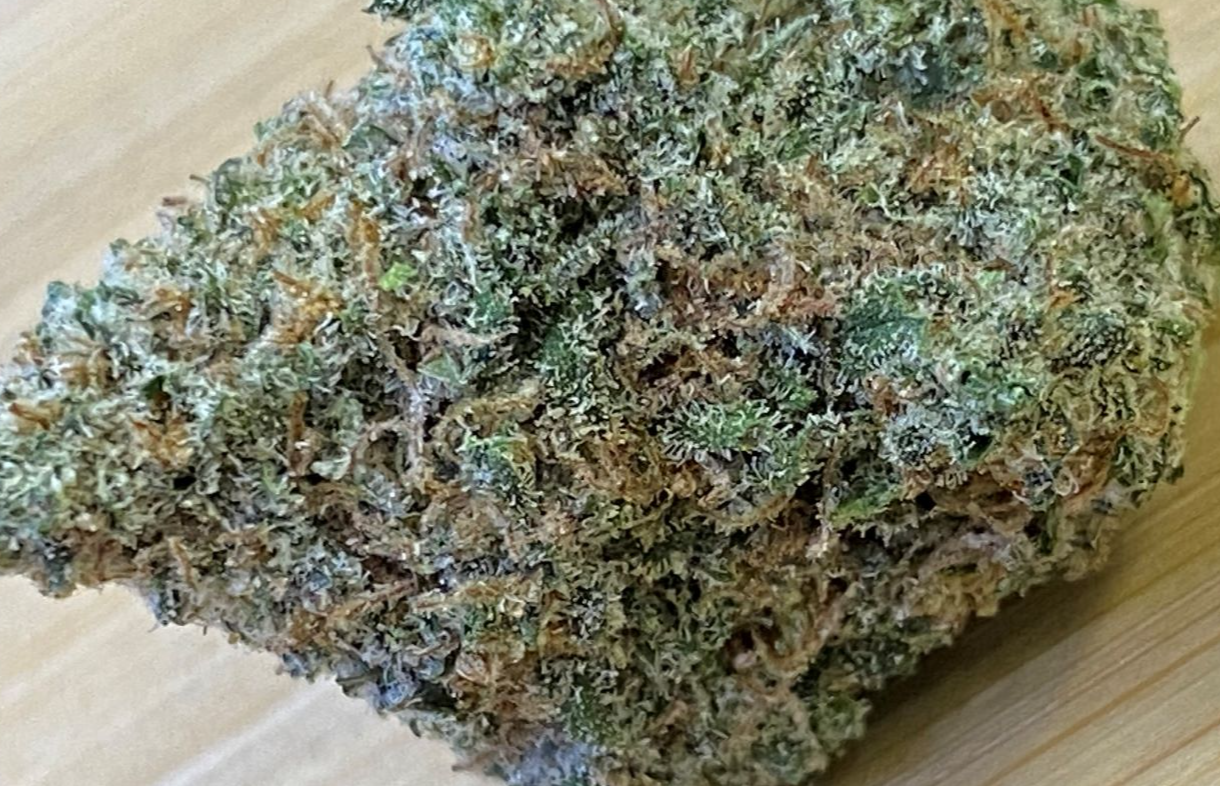 Photograph of product: Meraki Mango | Meraki Gardens | Hybrid - 28g