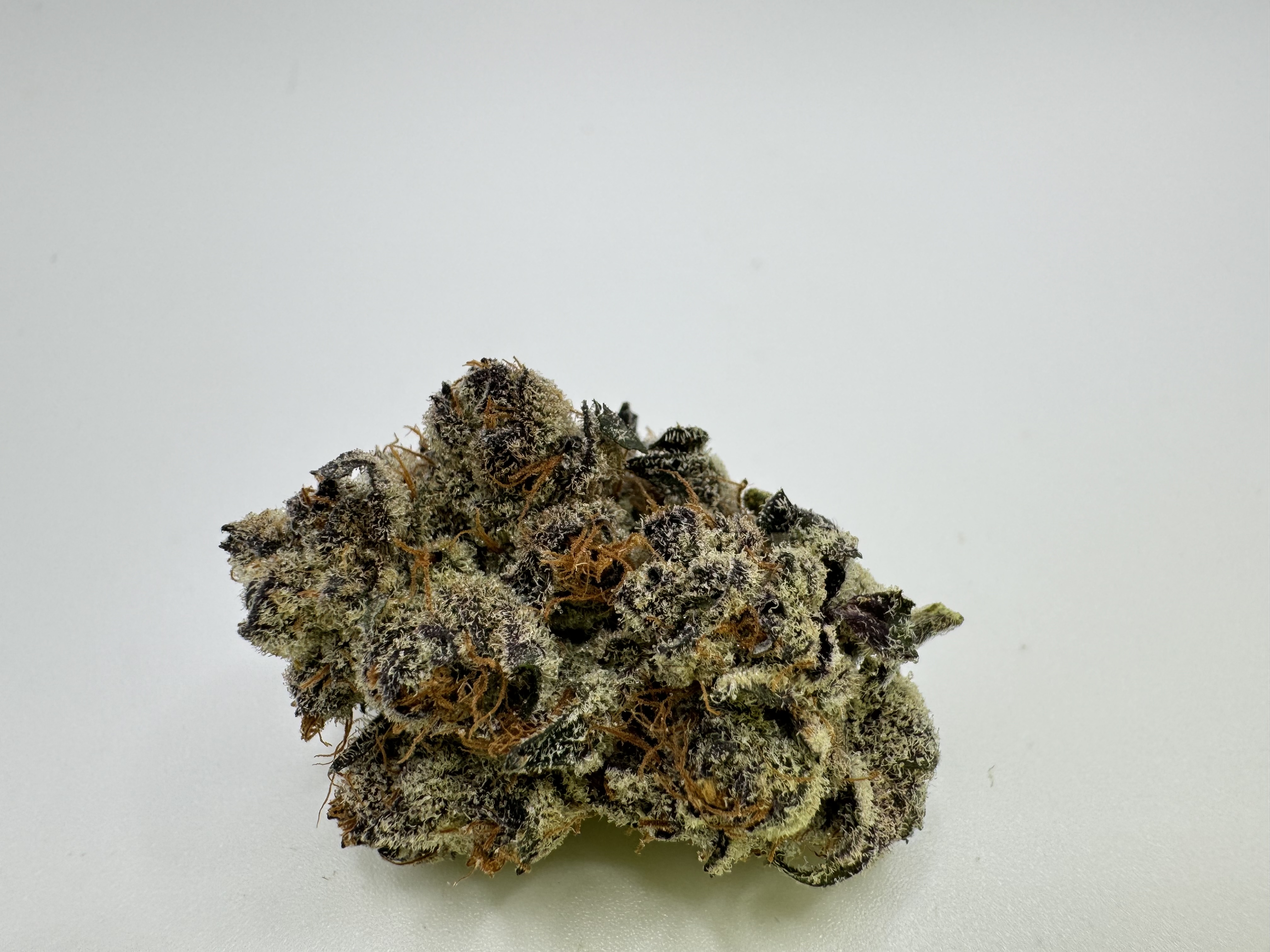 Photograph of product: Sugar Show - Indoor - Pre-Packs - 28g