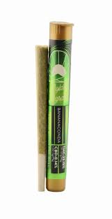 Photograph of product: Golden Garden | Bananaconda (S) | Pre-Roll | 1g