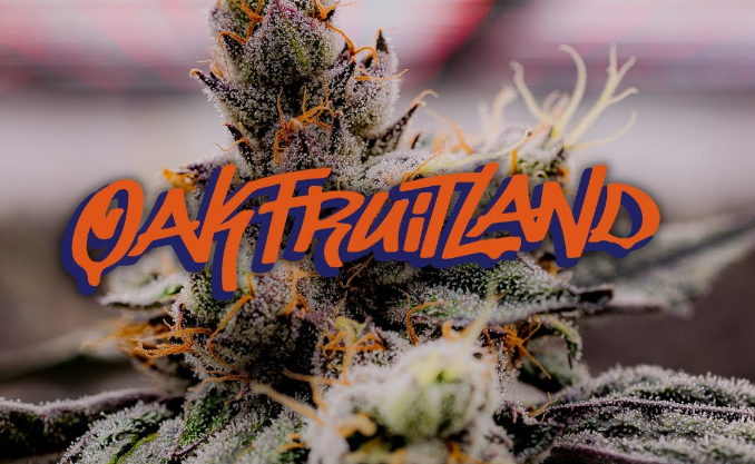 Photograph of product: WATERMELON Z X TROP Z 3.5G SMALLS