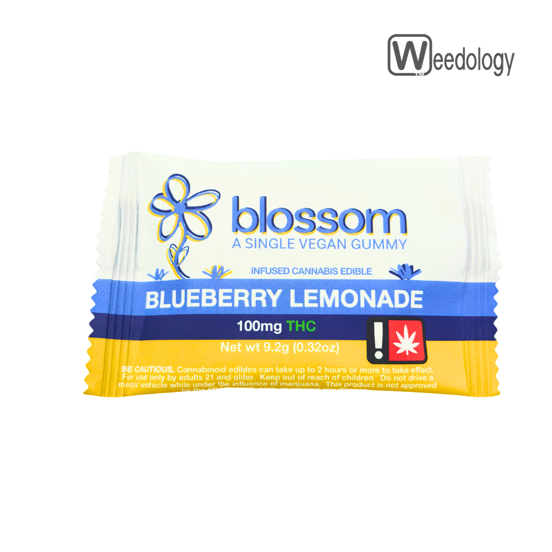 Photograph of product: Blossom Single BLUEBERRY LEMONADE 100mg/pkg Gummy